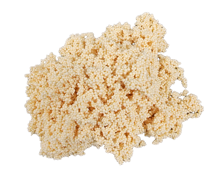 QK-P磷选择性树脂