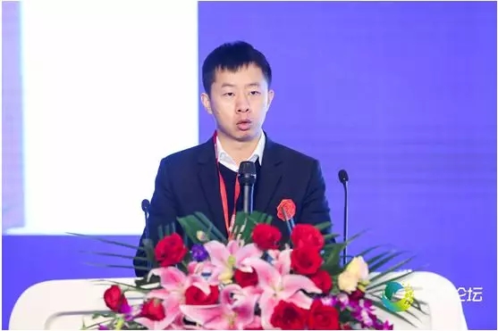 陈家轲.webp.jpg