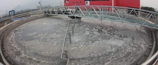 污泥上浮.jpg